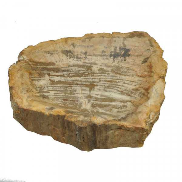 Bowl Petrified Wood