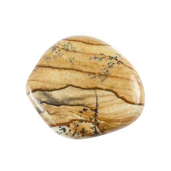 Landscape jasper slice stone