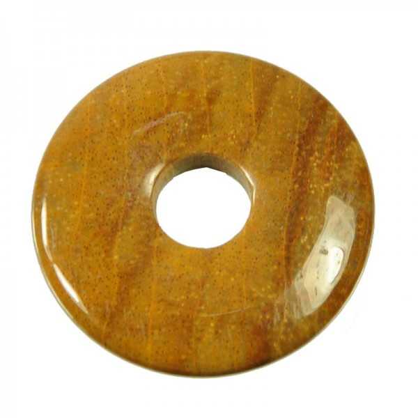 Petrified wood donut 30