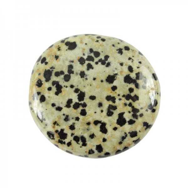 Dalmatian jasper disc stone