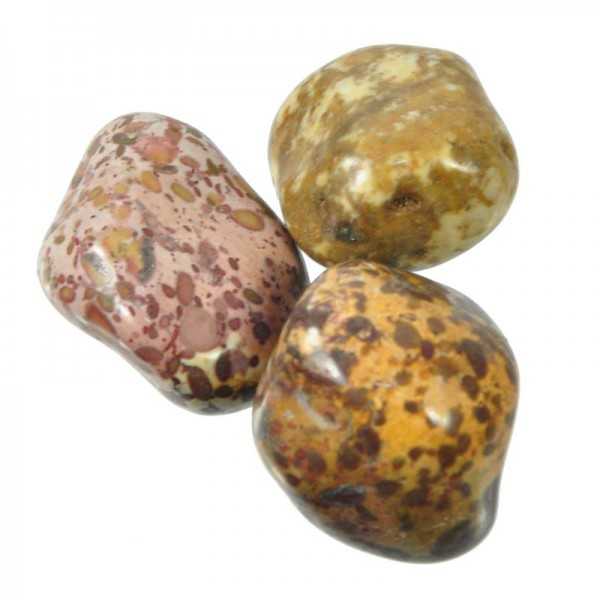 Rhyolite Rainforest Jasper Tumbled Stone