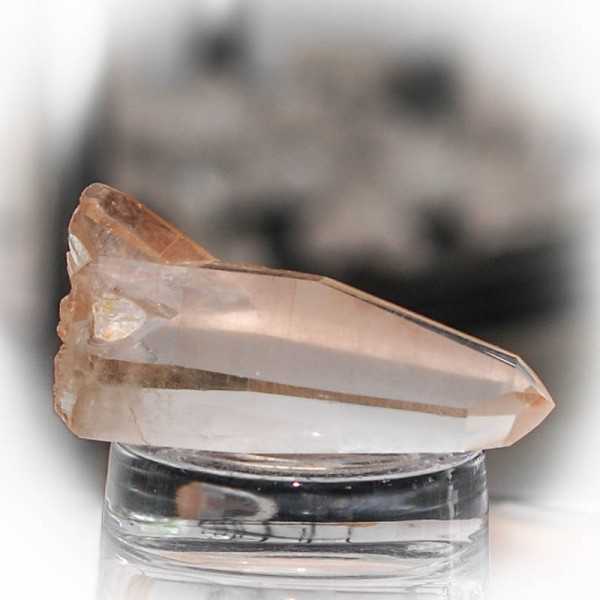 lemurian rosa