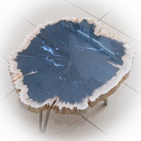 Tisch aus versteinertem Holz