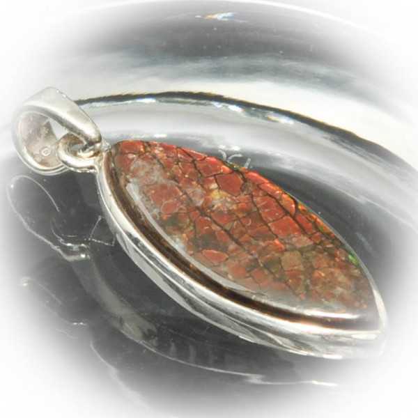 Ammolite Anhänger Silberfassung